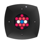 AQUAILLUMINATION - Prime  LED Lighting System