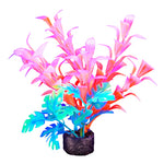 Marina iGlo Plants