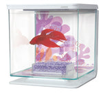 Marina Betta Plastic Aquarium Kits