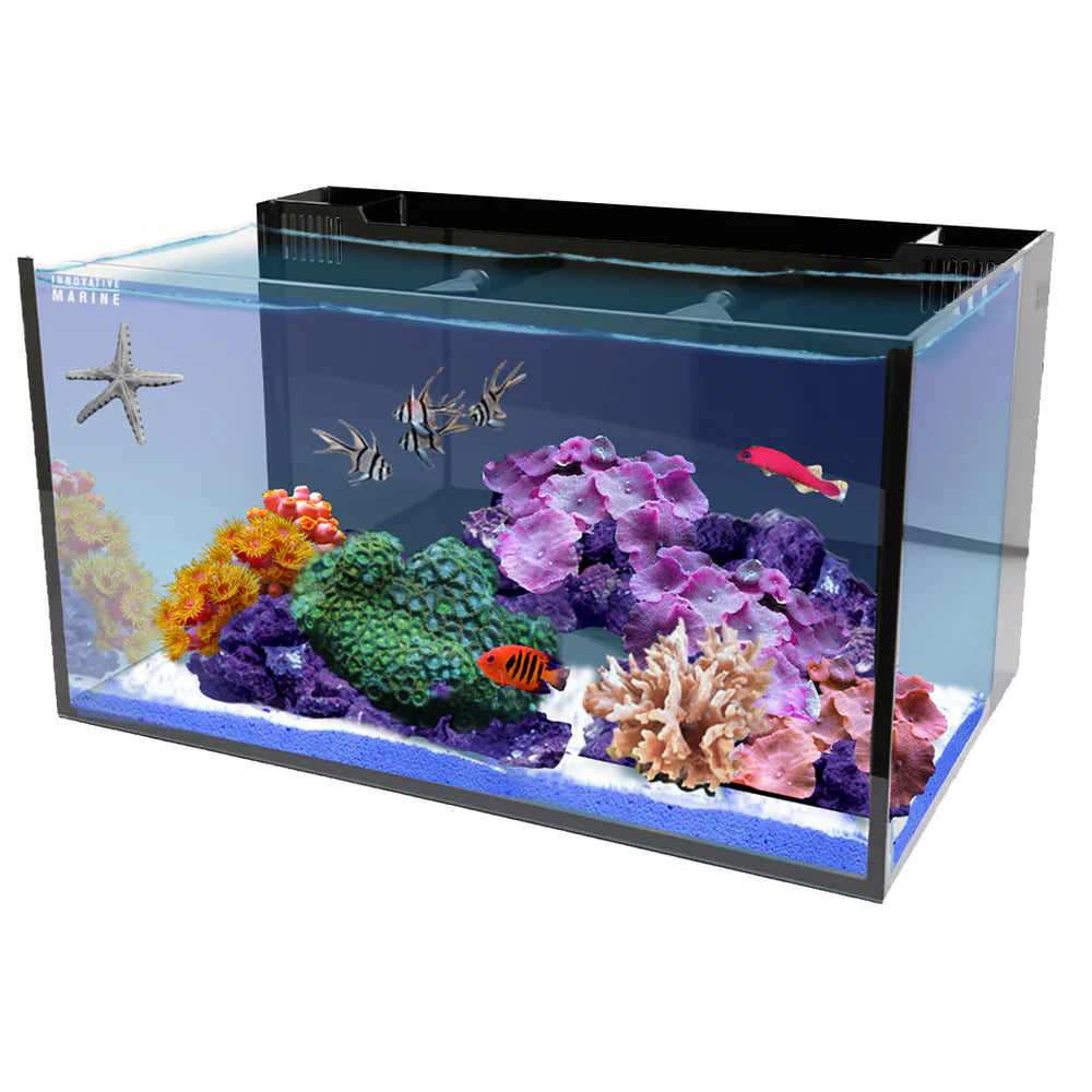 Fusion | 20 AIO Long Aquarium [Desktop Starter Kit]