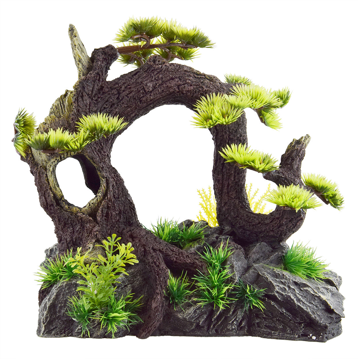 Arch Bonsai