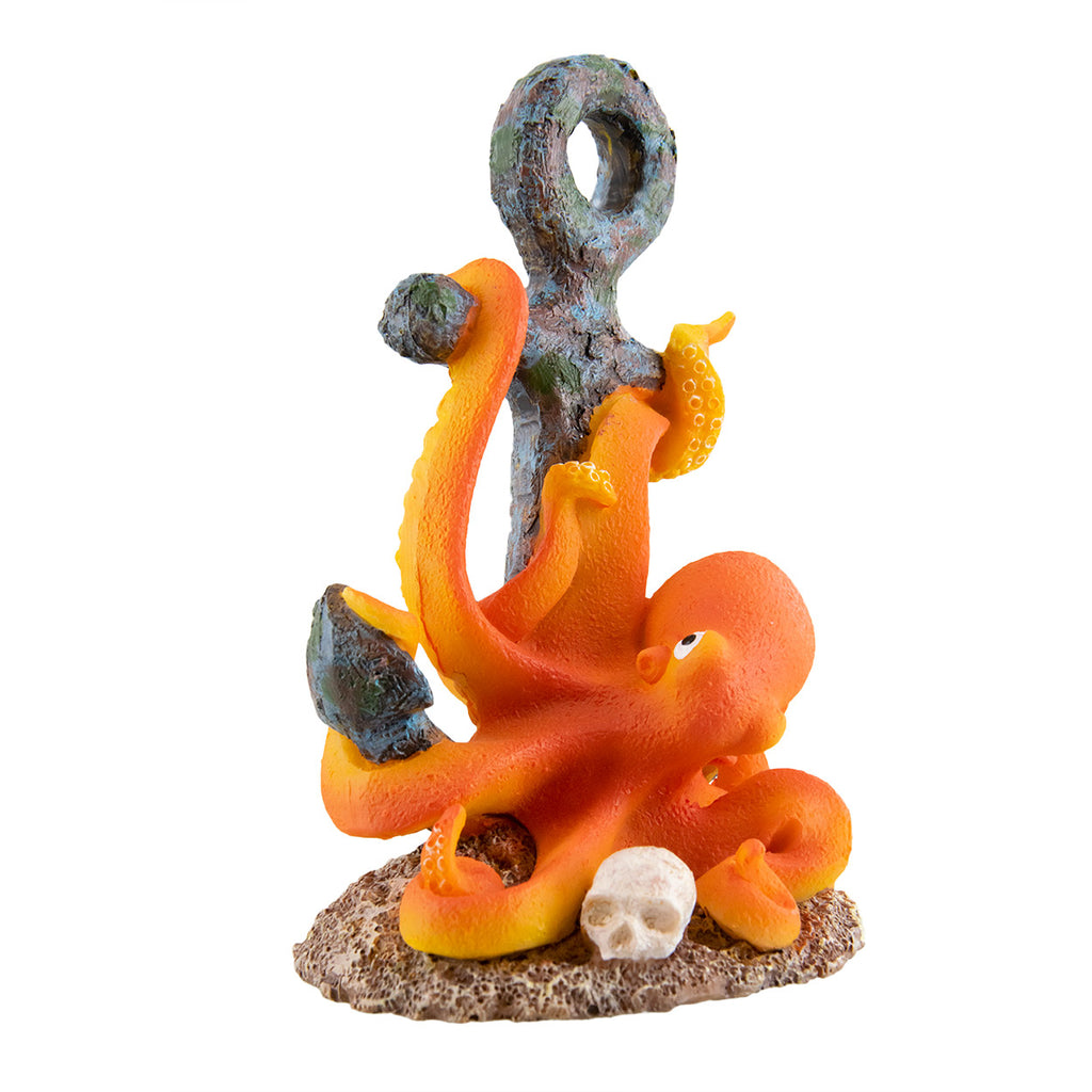 Octopus & Anchor