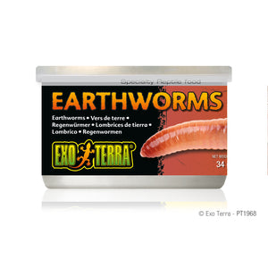 Exo Terra Canned Earthworms - 34 g