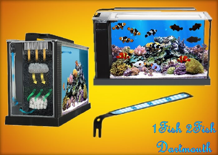 Fluval SEA EVO Aquarium Kits – 1 Fish 2 Fish Dartmouth