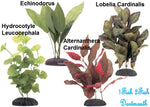 Marina EcoScaper Silk Plants
