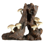 Underwater Treasures - Root with Mushroom