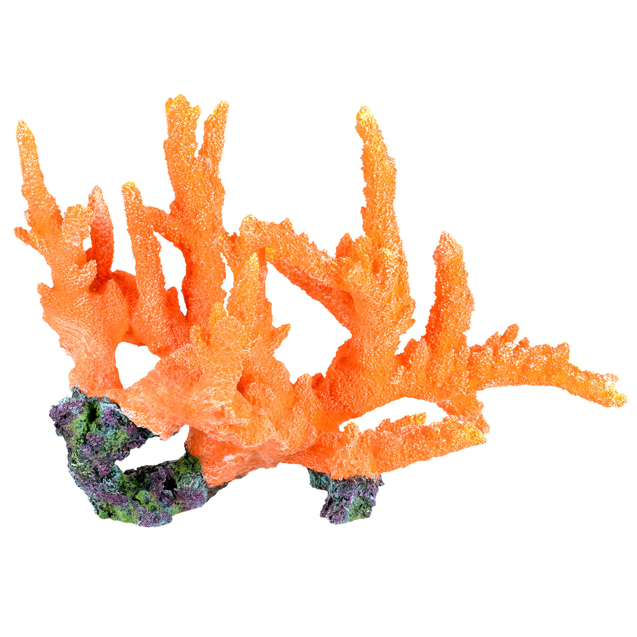 Branch Coral - Orange Show