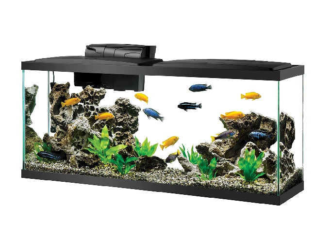 Aqueon LED Aquarium Kits (No Shipping)