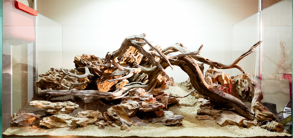 Aquarium Decoration Wood – Fish Fish Dartmouth