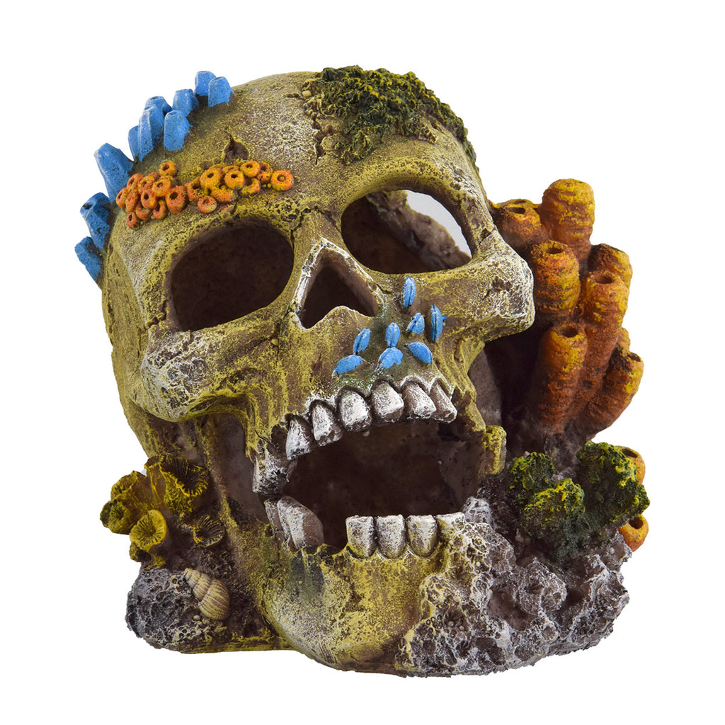 Reef Skull